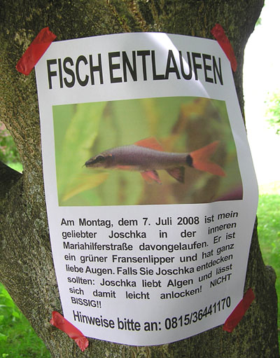 fisch entlaufen: joschka